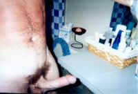 cock9.jpg (21882 bytes)